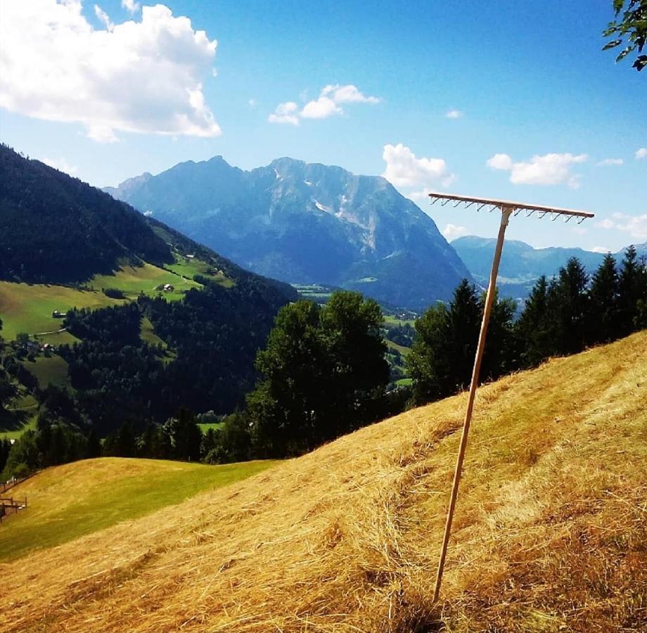 Bergblick Hollnhof Apartment Donnersbach Екстериор снимка