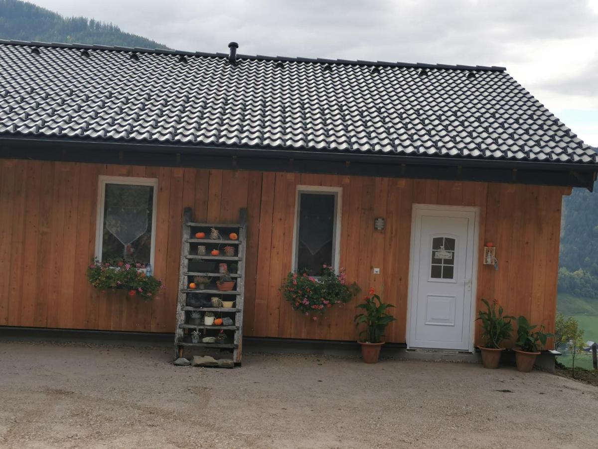 Bergblick Hollnhof Apartment Donnersbach Екстериор снимка