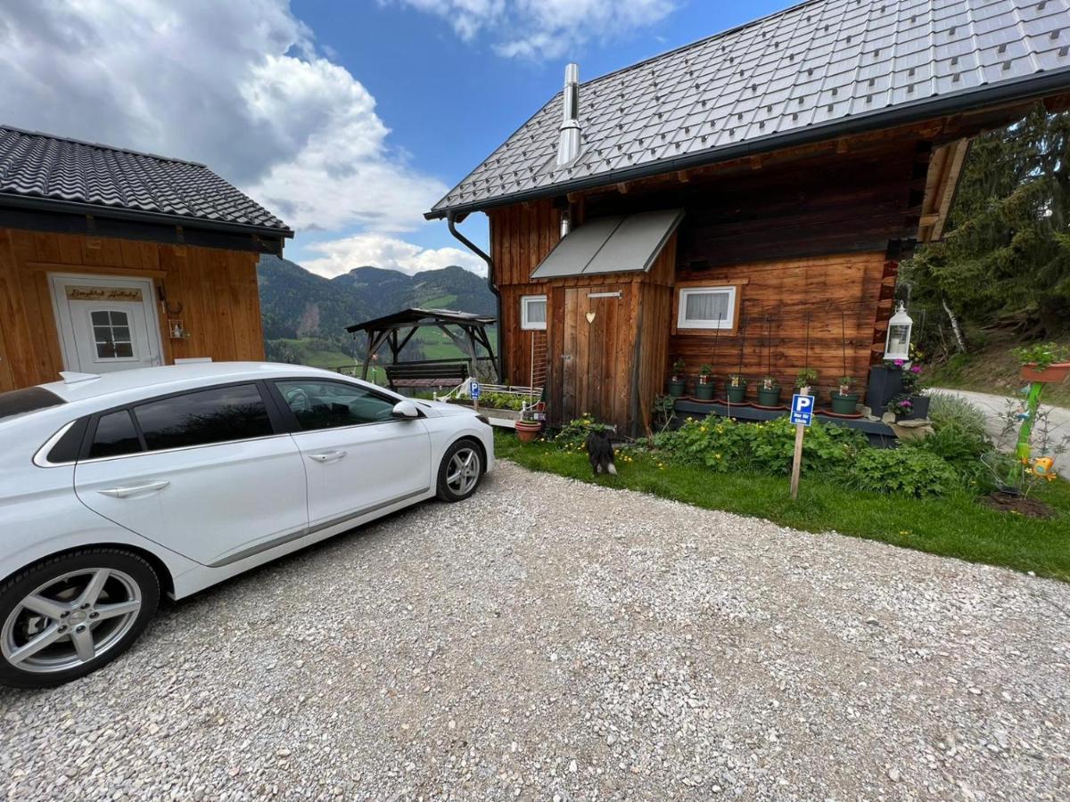 Bergblick Hollnhof Apartment Donnersbach Екстериор снимка